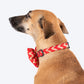 HUFT Festive Desi Glam Dog Bow Tie With Strap - Red - Heads Up For Tails