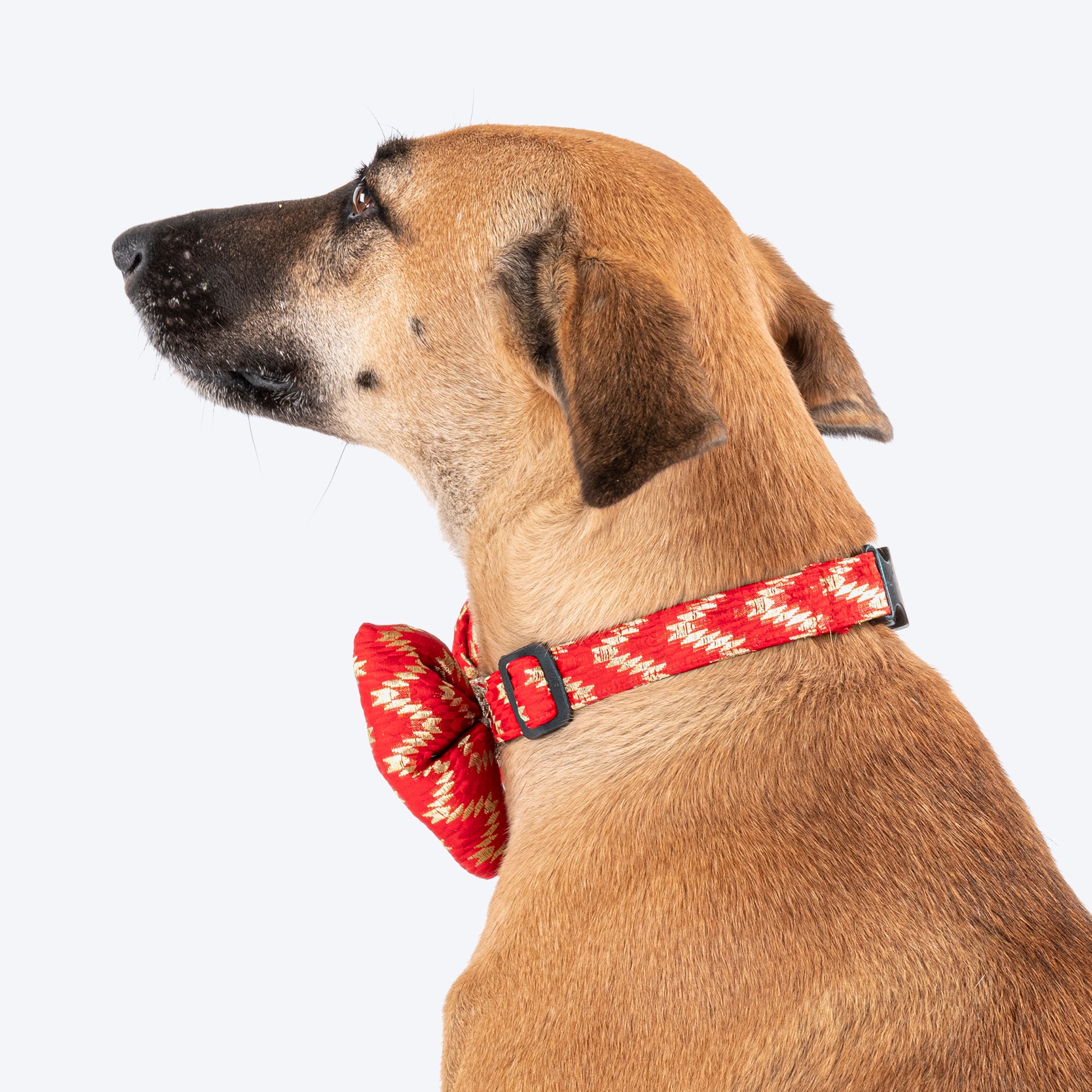 HUFT Festive Desi Glam Dog Bow Tie With Strap - Red - Heads Up For Tails
