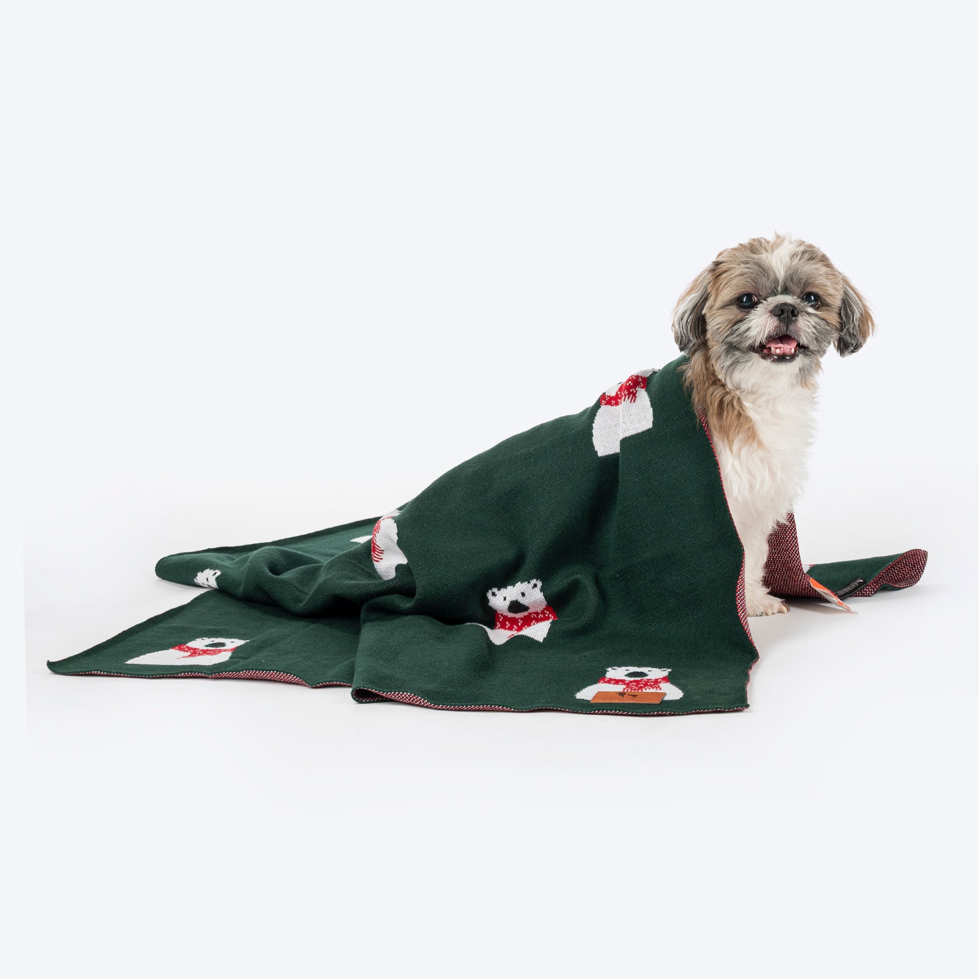 HUFT Pawlar Bear Blanket For Dog & Cat - Green - Heads Up For Tails