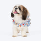 HUFT Printed White Floral Cotton Dress For Dog - White