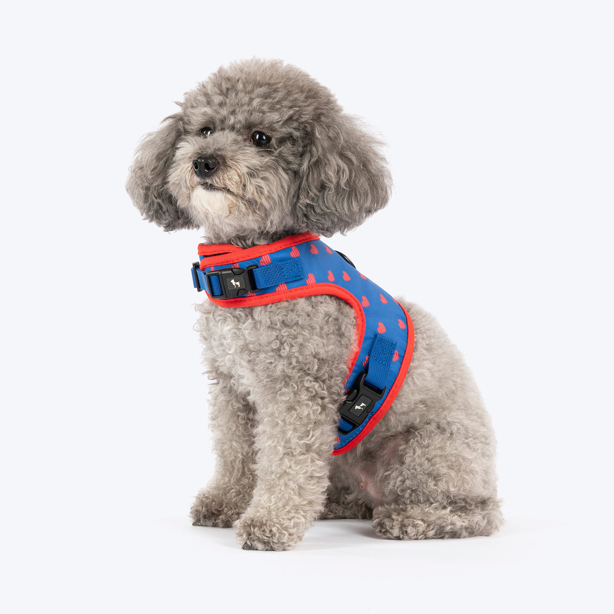 HUFT Slip & Stroll Heart Parade Harness & Leash Set For Dog - Blue