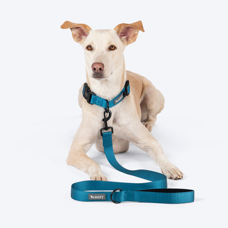 HUFT Basics Dog Collar - Teal Blue - Heads Up For Tails