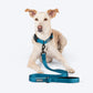 HUFT Basics Dog Leash - Teal Blue