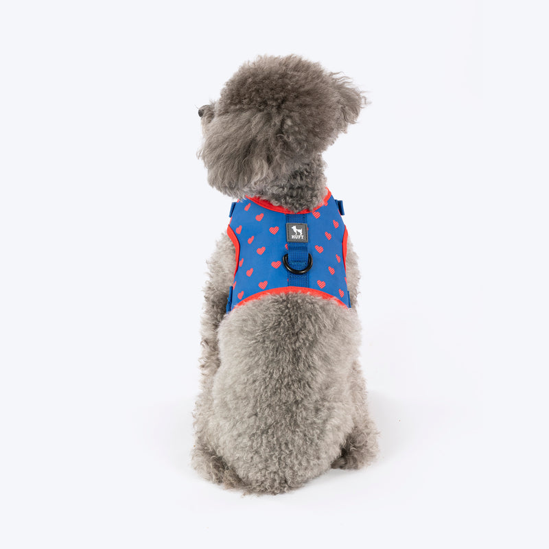 HUFT Slip & Stroll Heart Parade Harness & Leash Set For Dog - Blue