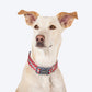 HUFT Zig Zag Galaxy Collar For Dog - Red