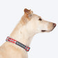 HUFT Zig Zag Galaxy Collar For Dog - Red