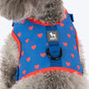 HUFT Slip & Stroll Heart Parade Harness & Leash Set For Dog - Blue