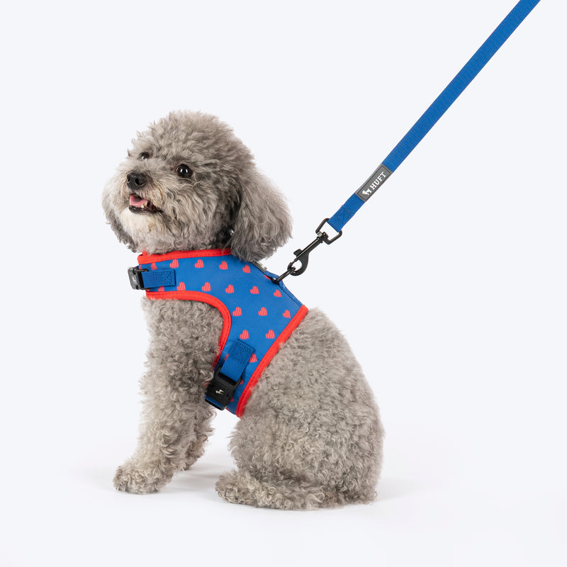 HUFT Slip & Stroll Heart Parade Harness & Leash Set For Dog - Blue