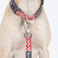 HUFT Zig Zag Galaxy Collar For Dog - Red