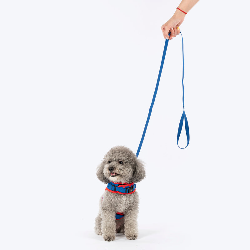 HUFT Slip & Stroll Heart Parade Harness & Leash Set For Dog - Blue