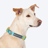HUFT Dichromatic Collar For Dog - Turquoise & Yellow - Heads Up For Tails