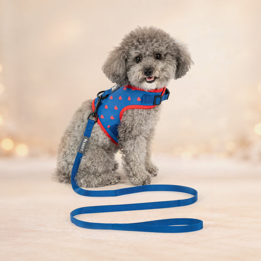 HUFT Slip & Stroll Heart Parade Harness & Leash Set For Dog - Blue