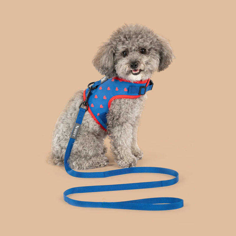 HUFT Slip & Stroll Heart Parade Harness & Leash Set For Dog - Blue