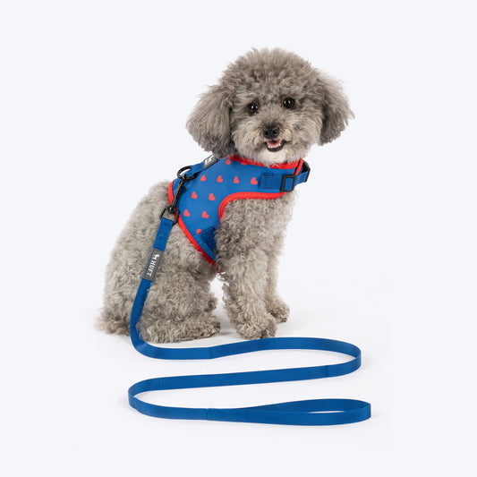 HUFT Slip & Stroll Heart Parade Harness & Leash Set For Dog - Blue
