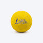 TLC Football Fetch Toy For Dog - Yellow