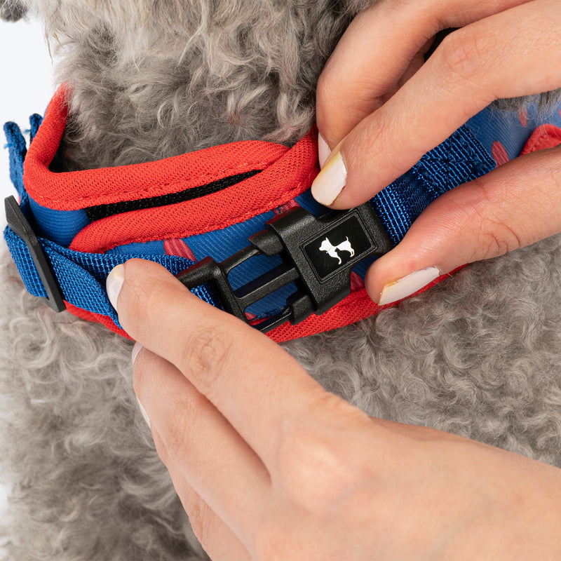 HUFT Slip & Stroll Heart Parade Harness & Leash Set For Dog - Blue