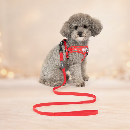 HUFT Free Flow Koko Koala Step In Harness & Leash Set For Dog - Red