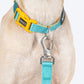 HUFT Dichromatic Collar For Dog - Turquoise & Yellow