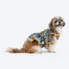 HUFT Customised Regal Raat Rani Brocade Lehenga Choli Set For Dog & Cat - Slate Blue - Heads Up For Tails