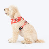 HUFT Berry Love Adjustable Harness For Dog - Red