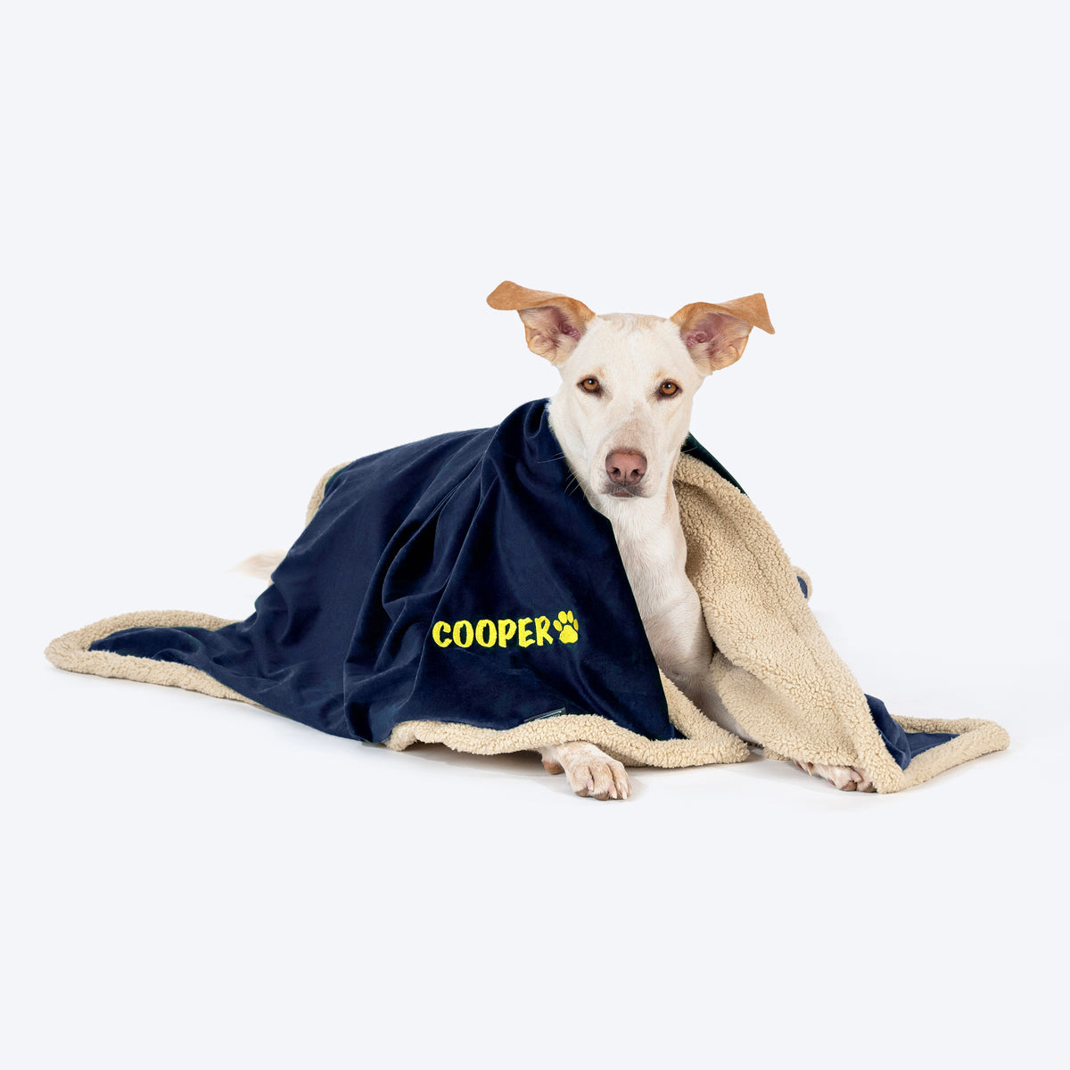 HUFT Personalised Luxe Velvet Blanket For Dog & Cat - Dark Navy - Heads Up For Tails