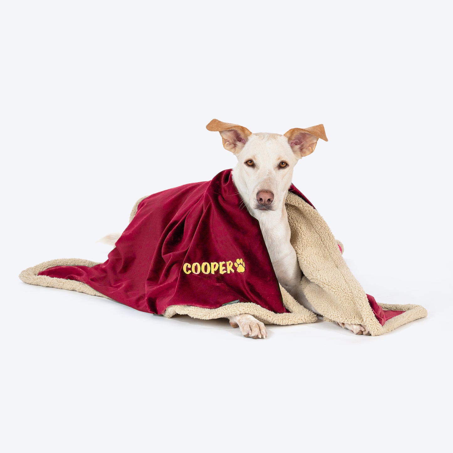 HUFT Personalised Luxe Velvet Blanket For Dog & Cat - Maroon