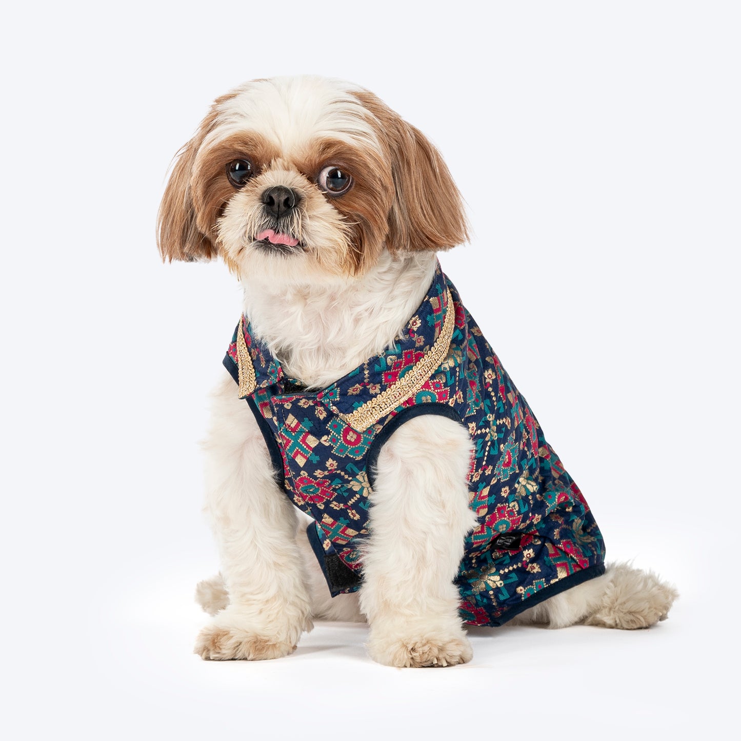HUFT Customised Paw-tola Pawfect Brocade Sherwani For Dog & Cat - Navy