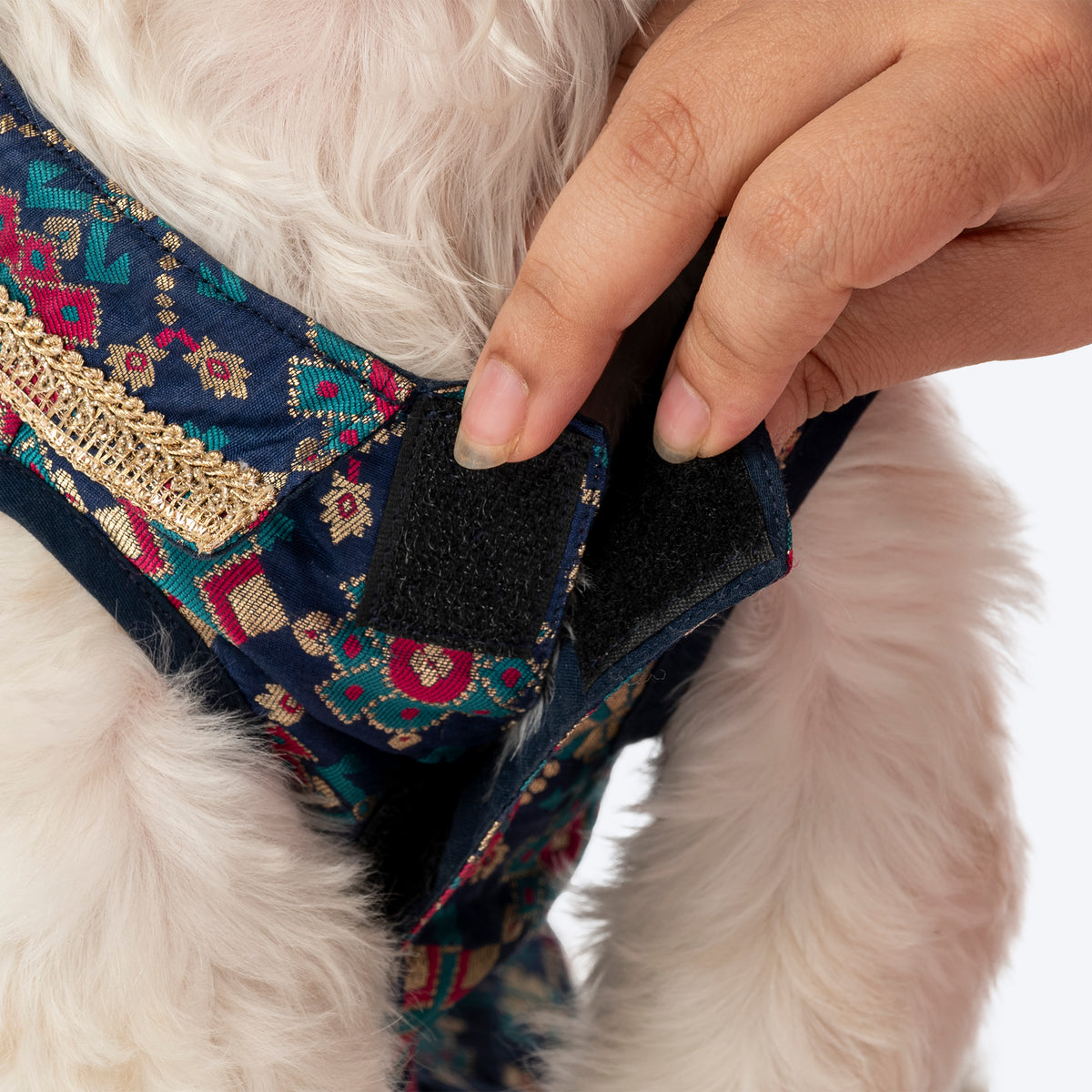 HUFT Customised Paw-tola Pawfect Brocade Sherwani For Dog & Cat - Navy - Heads Up For Tails