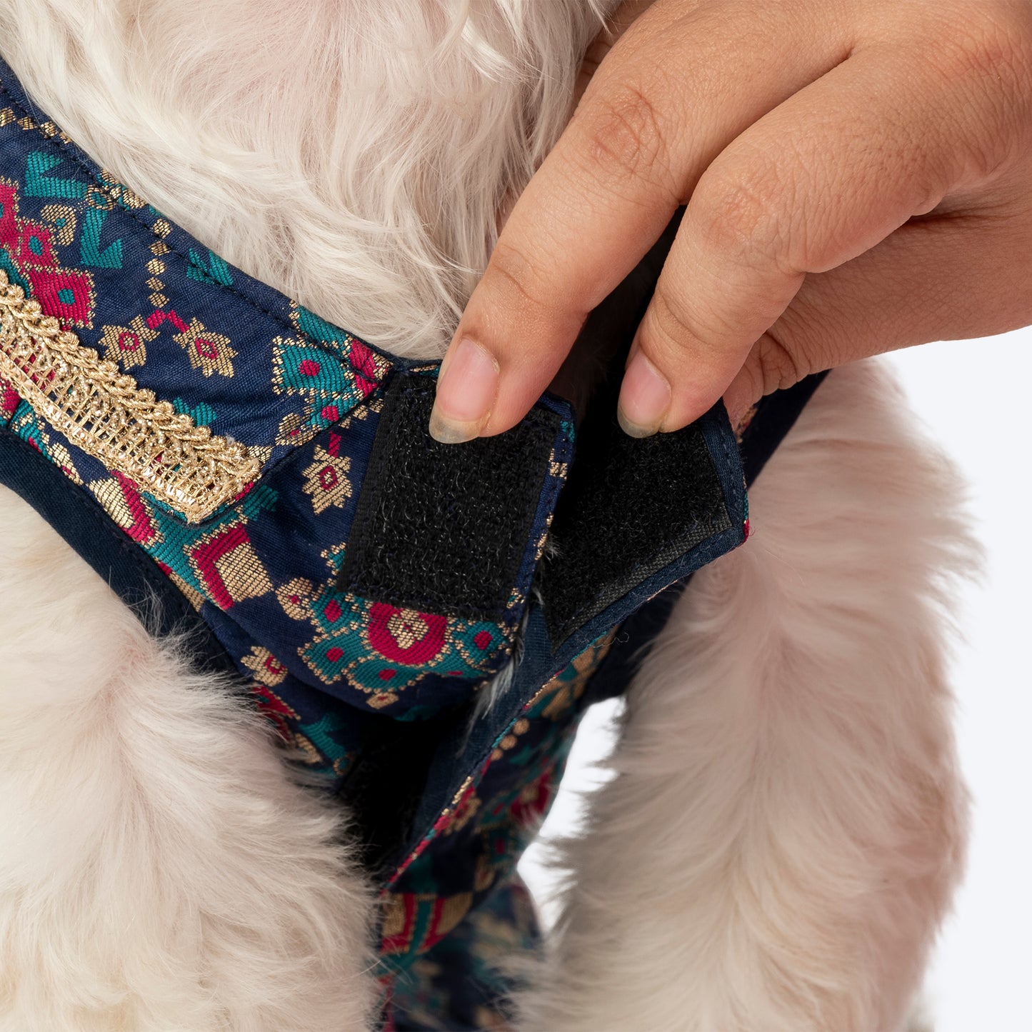 HUFT Customised Paw-tola Pawfect Brocade Sherwani For Dog & Cat - Navy