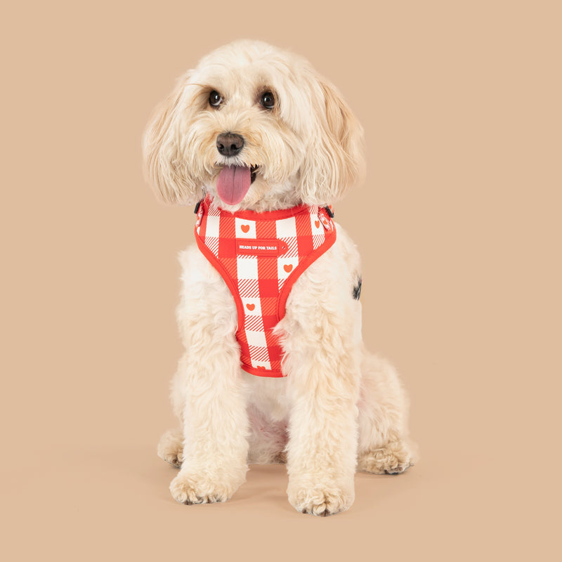 HUFT Berry Love Adjustable Harness For Dog - Red