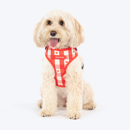 HUFT Berry Love Adjustable Harness For Dog - Red