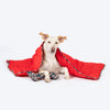 HUFT Personalised Sweet Dreams Blanket For Dog & Cat - Red - Heads Up For Tails