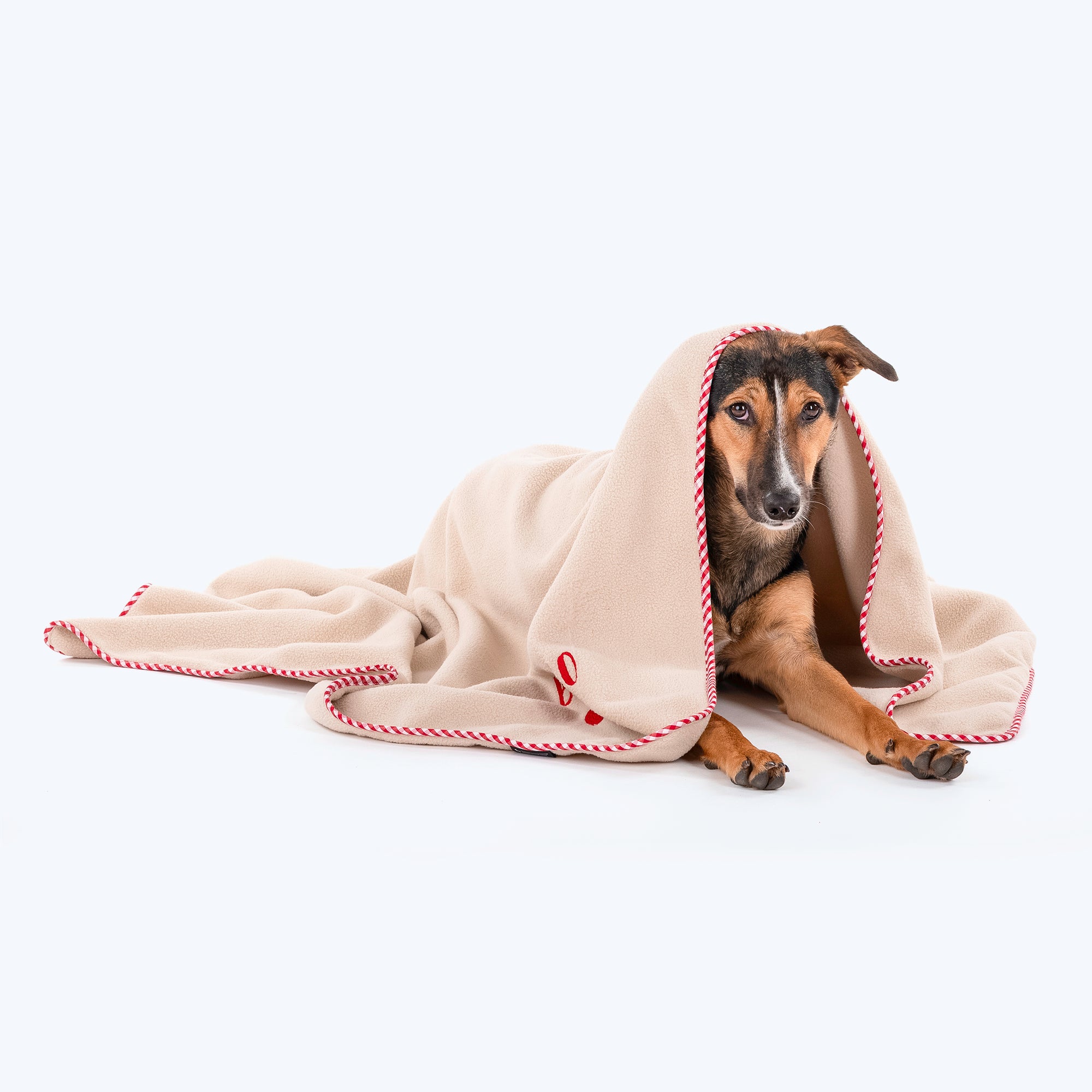 Personalised luxury dog sales blanket