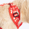HUFT Berry Love Adjustable Harness For Dog - Red