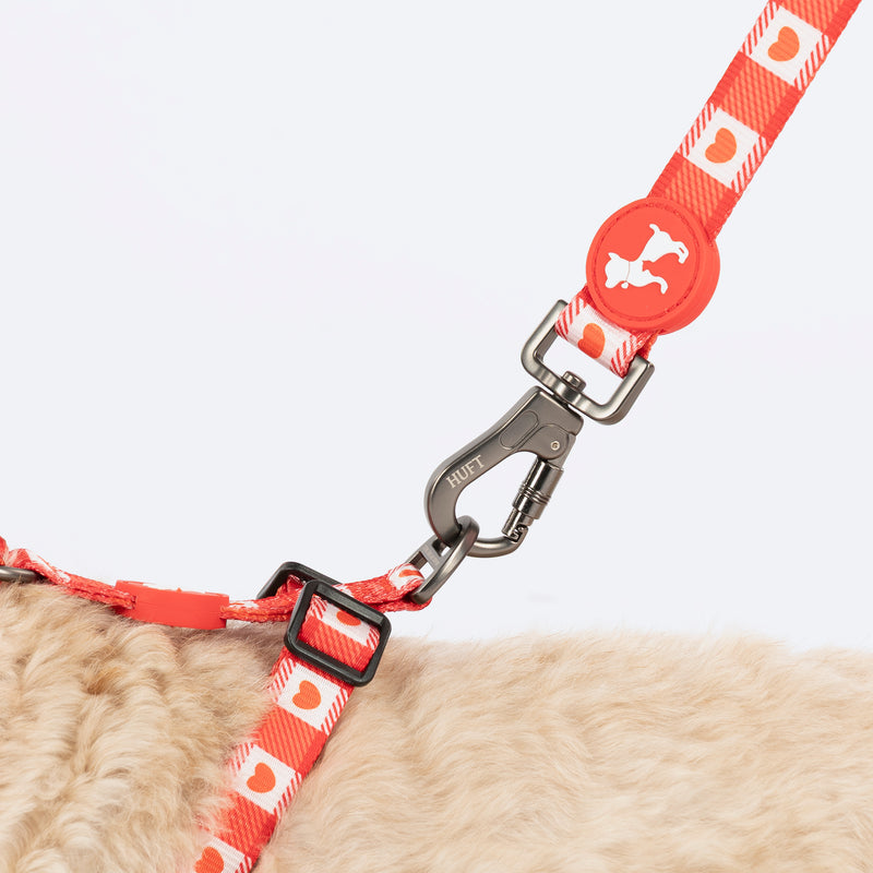 HUFT Berry Love Adjustable Harness For Dog - Red