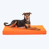 HUFT Royal Snooze Bed for Dog - Grey & Orange - Heads Up For Tails