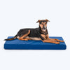 HUFT Royal Snooze Bed for Dog - Navy - Heads Up For Tails