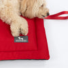HUFT Cloudy Bear Classic Mat For Dog & Cat - Red