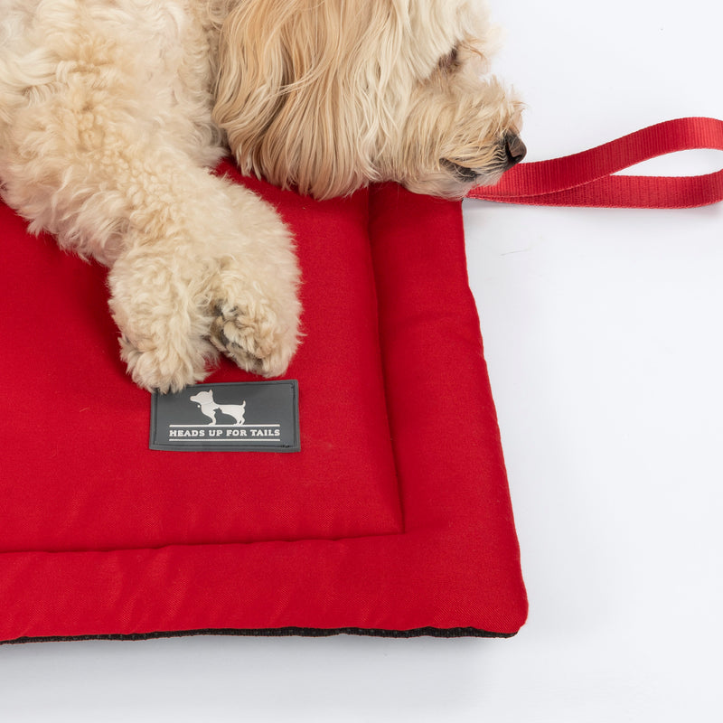 HUFT Cloudy Bear Classic Mat For Dog & Cat - Red