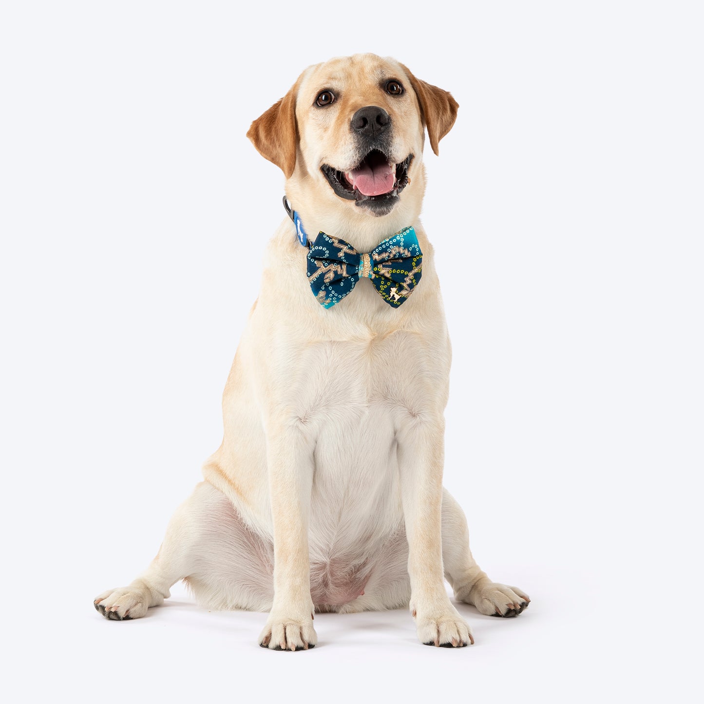 HUFT Noori Bow Tie For Dog - Blue