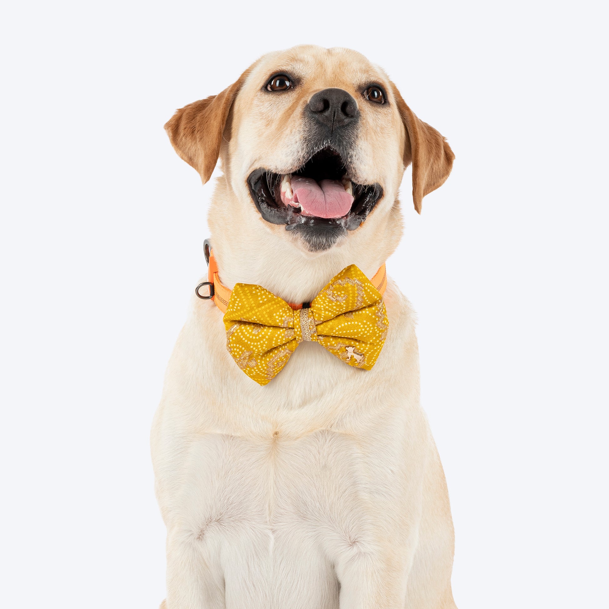 HUFT Noori Bow Tie For Dog - Yellow - Heads Up For Tails