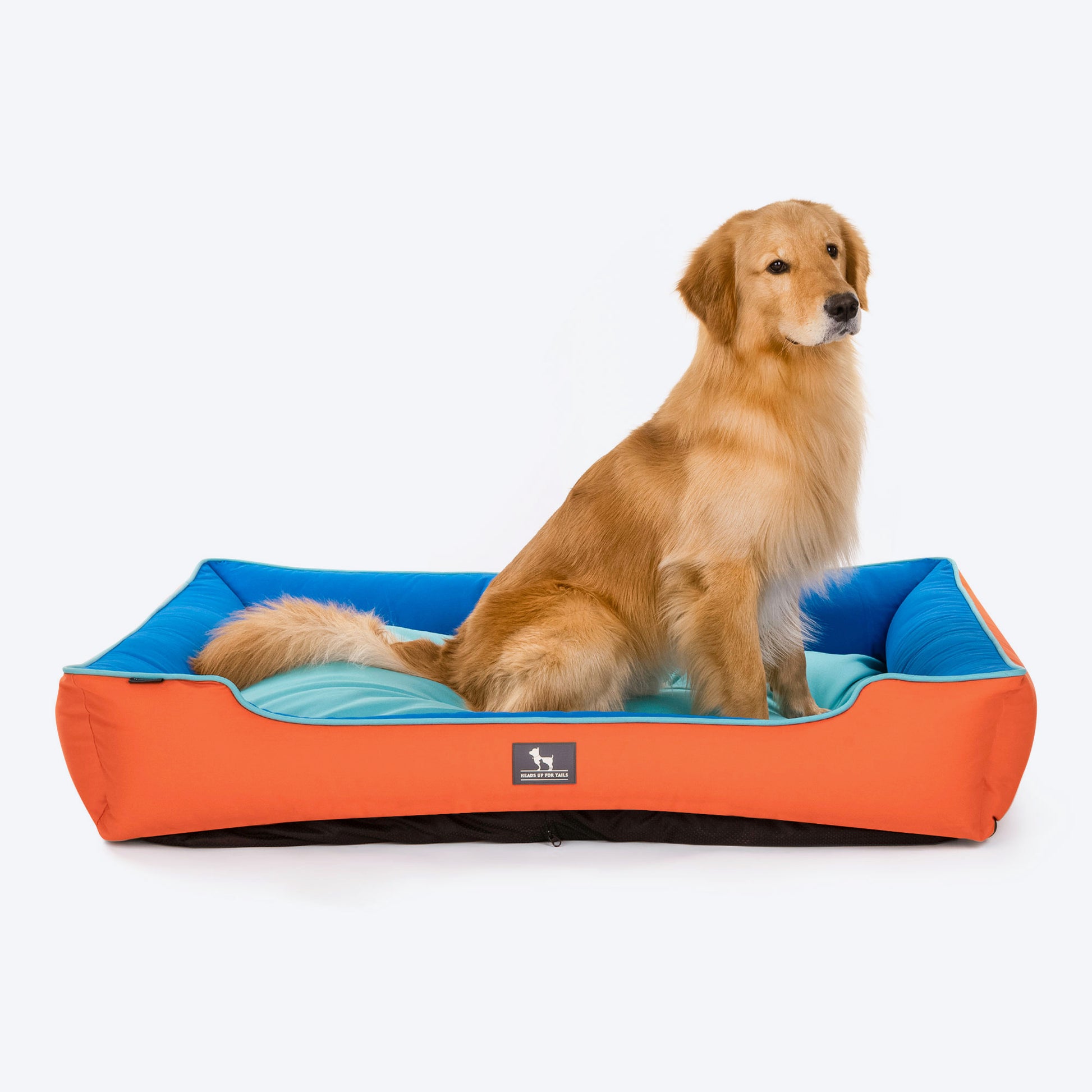 HUFT Classic Lounger Dog Bed - Coral & Imperial Blue - Heads Up For Tails