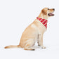 HUFT Bandhani Bandhan Knot Bandana For Dog - Red - Heads Up For Tails