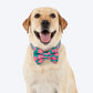 HUFT Pawsome Blossom Bow Tie With Collar For Dog - Green & Pink - Heads Up For Tails