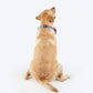 HUFT Pawsome Blossom Bow Tie With Collar For Dog - Green & Pink - Heads Up For Tails