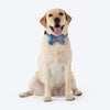 HUFT Summer Bloom Bow Tie With Collar For Dog - Blue - Heads Up For Tails