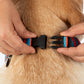 HUFT Summer Bloom Bow Tie With Collar For Dog - Blue - Heads Up For Tails