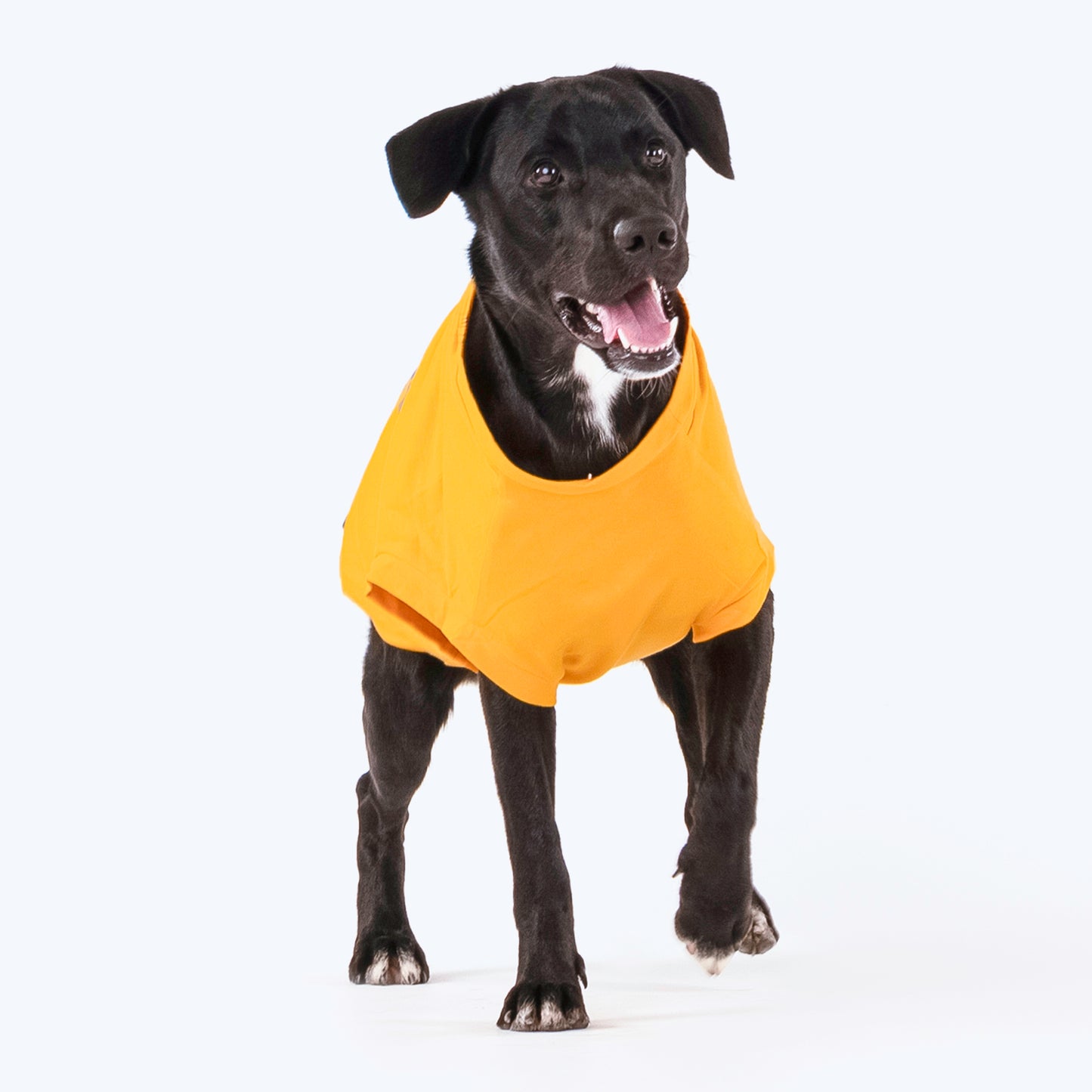 HUFT Wet Nose, Warm Heart T-shirt For Dogs - Yellow - Heads Up For Tails