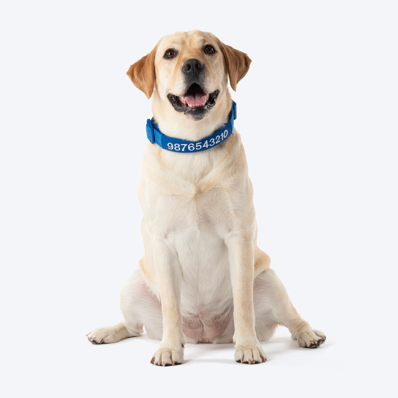 HUFT Personalised Xplorers (Mobile No.) Dog Collar - Blue - Heads Up For Tails