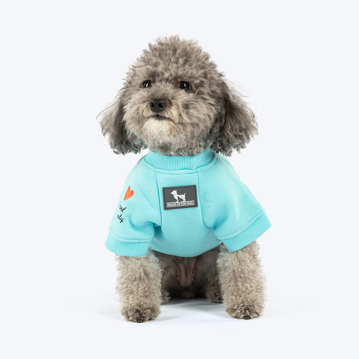 HUFT Little Jumbo Sweatshirt For Dog - Aqua